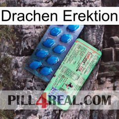 Dragon Erection new02